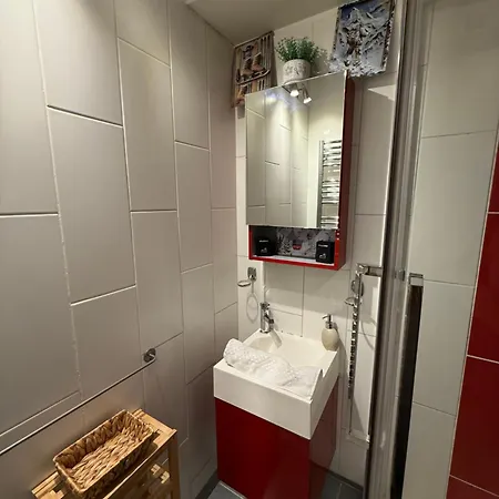 Διαμέρισμα Centre - De Charme Avec Parking, Vue Sur Le Mont-blc