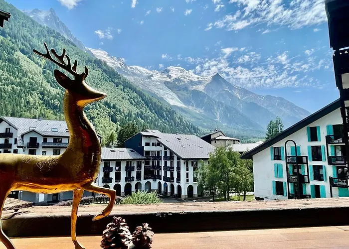 Appartement Centre - De Charme Vue Sur Le Mont-blc *